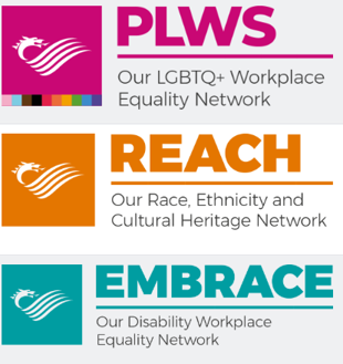Workplace Equality Networks